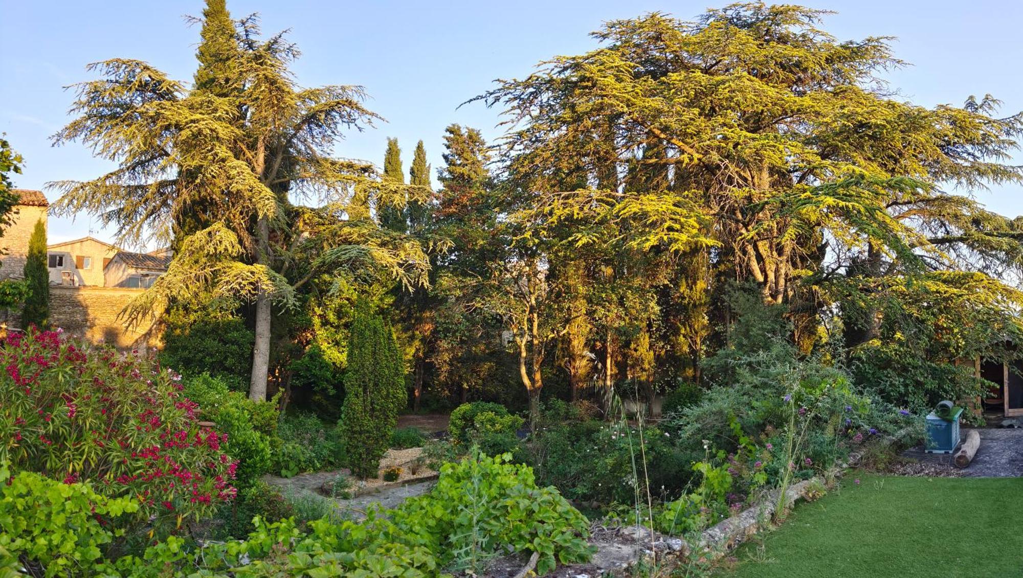 Rue Du Chateau A Cabrieres D'Avignon Bed & Breakfast Екстериор снимка