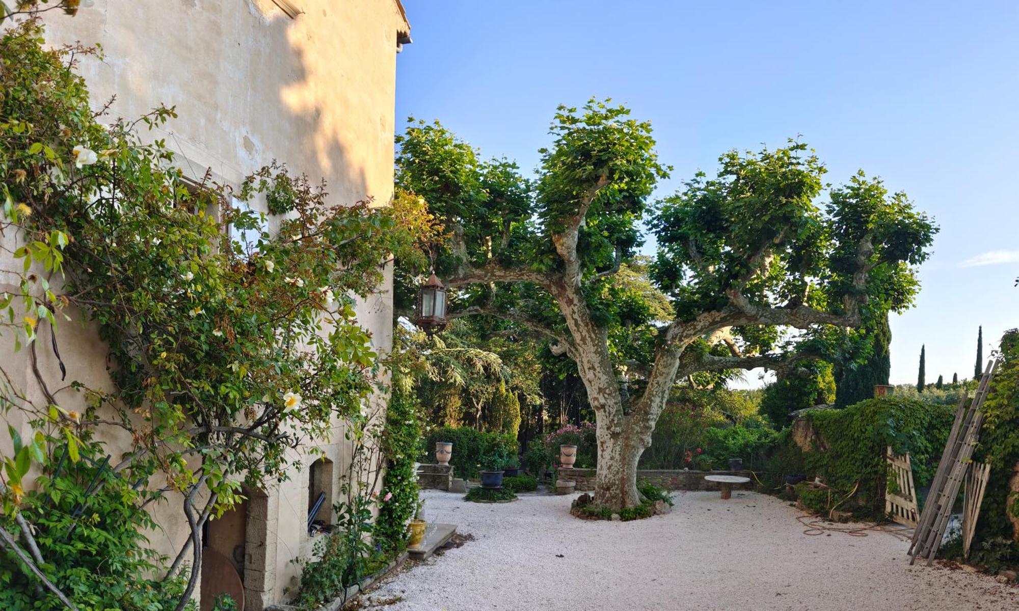 Rue Du Chateau A Cabrieres D'Avignon Bed & Breakfast Екстериор снимка